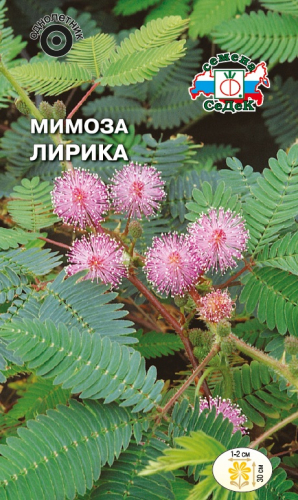 Мимоза Лирика (стыдливая, розовая) 0,1г