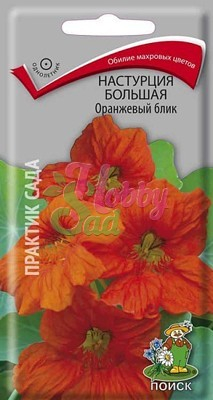 Цветы Настурция Большая Оранжевый блик (1 г) Поиск