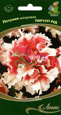 Цветы Петуния Пируэтт Ред махровая (10 шт) Поиск Люкс