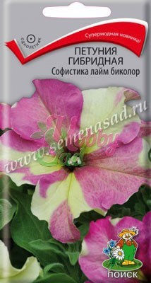 Цветы Петуния Софистика Лайм Биколор гибридная (5 шт) Поиск