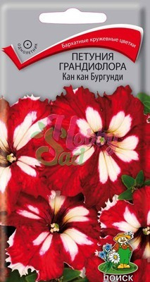 Цветы Петуния Кан Кан бургунди грандифлора (10 шт) Поиск