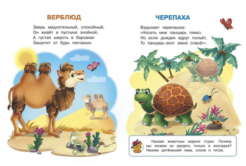 Ирина Шестакова: Животные зоопарка