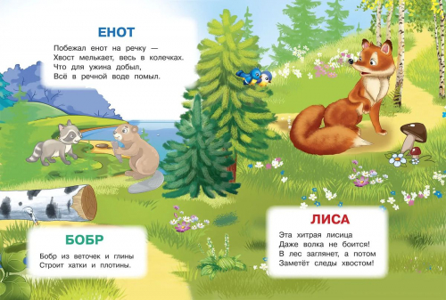 Ирина Шестакова: Лесные животные