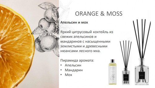 Апельсин и мох BAGO home ароматический диффузор 110 мл