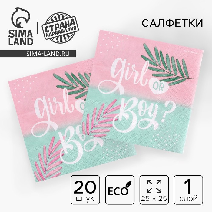 Салфетки бумажные на гендер-пати Girl or Boy, 25×25 см, набор 20 шт.