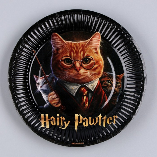 Тарелка бумажная Happy Birthday «Волшебный кот», 18 см