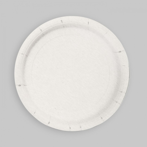 Тарелка одноразовая бумажная Сафари Party, 18 см, набор 6 шт