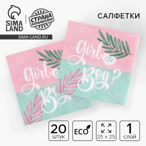 Салфетки бумажные на гендер-пати Girl or Boy, 25×25 см, набор 20 шт.
