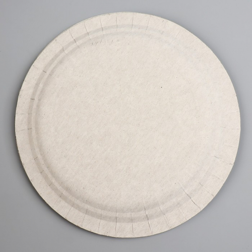 Тарелка бумажная «Душнила», белый, 18 см