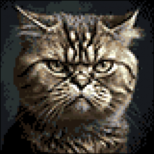 Алмазная мозаика: Суровый котик 