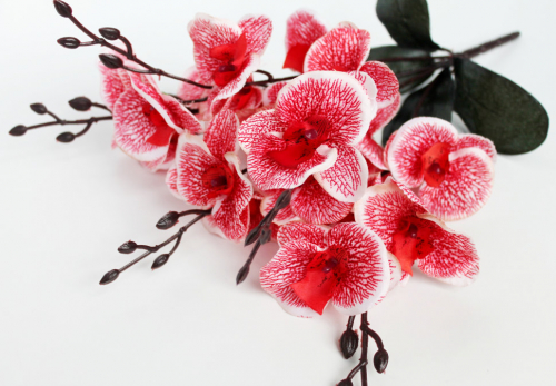 Б11750 Букет орхидеи 5веток 