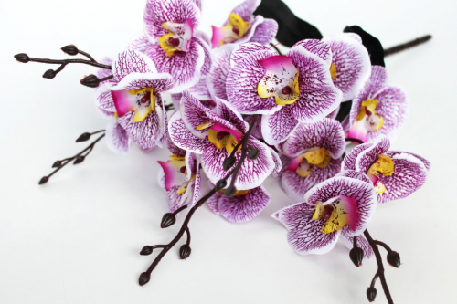 Б11750 Букет орхидеи 5веток 