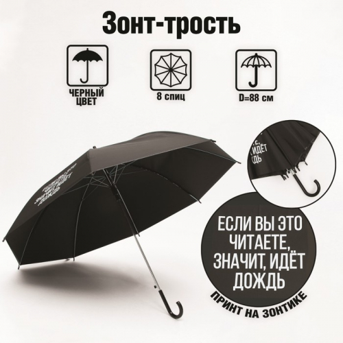 Зонть-трость 