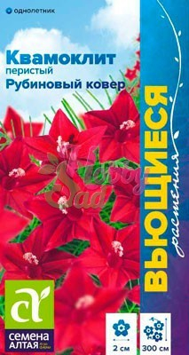 Цветы Квамоклит Рубиновый ковер перистый (0,2 г) Семена Алтая серия Вьющиеся растения