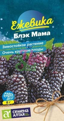 Ежевика Блэк Мама крупноплодная (0,01 г) Семена Алтая