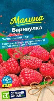 Малина Барнаулка красная (0,03 г) Семена Алтая