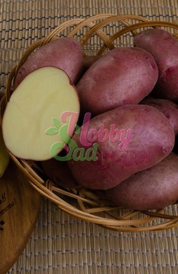 Картофель семенной Маяк среднеранний (Элита) (сетка 2 кг/шт) Седек