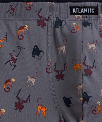 Мужские трусы шорты Atlantic, набор из 2 шт., хлопок, серые + темно-синие, 2MH-064
