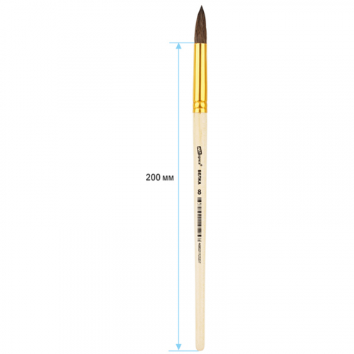 Кисть (белка №8) ArtSpace, круглая, SH8_14525, 249567