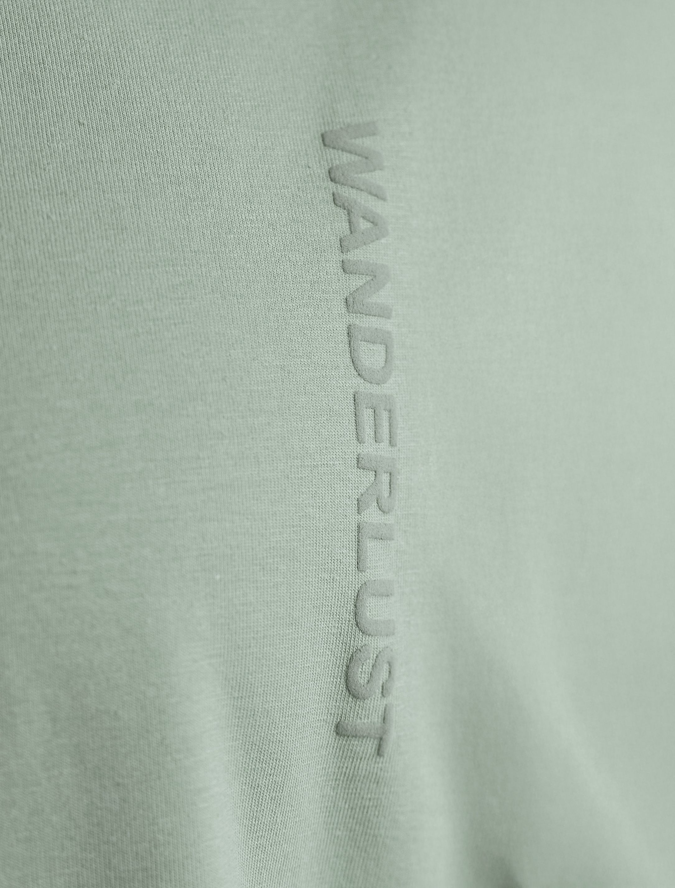 Ст.цена 1250р Футболка из премиального хлопка с авторским принтом U49.026 св.оливка_wanderlust