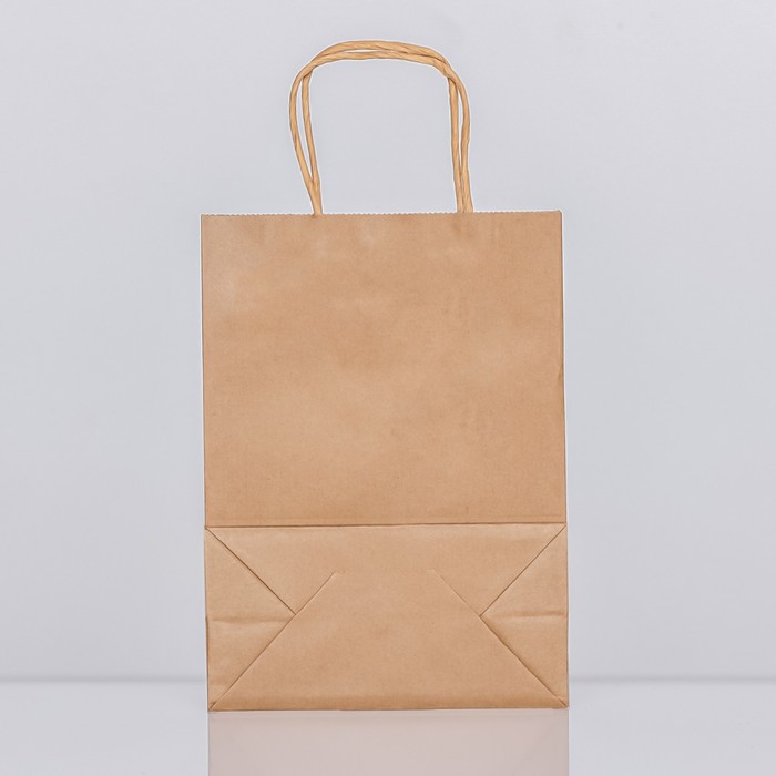 Пакет крафт без печати, круглая ручка, 15×21×8 см, 120 г