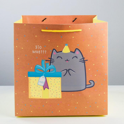 Пакет подарочный квадратный, упаковка, «Котик и тортик», 30 х 30 х 30 см