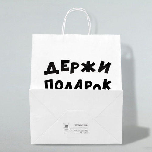 Пакет подарочный с приколами, крафт «Держи подарок», белый, 24×10.5×32 см