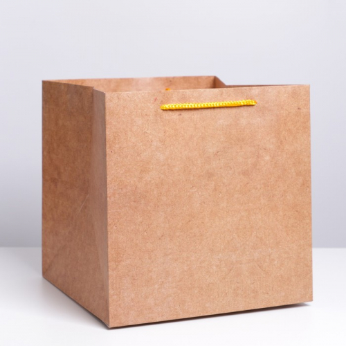 Пакет подарочный квадратный, упаковка, «Крафт», 30 х 30 х 30 см