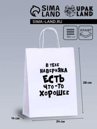 Пакет подарочный «В тебе наверняка есть что - то хорошее», 24×14×32 см, 1 шт.