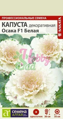 Цветы Капуста Осака белая декоративная (10 шт) Семена Алтая