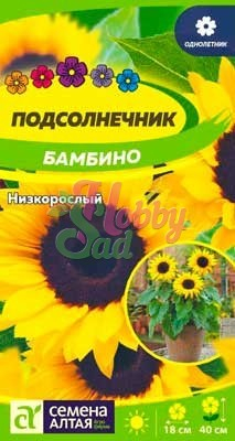 Цветы Подсолнечник Бамбино низкорослый (0,5 гр) Семена Алтая