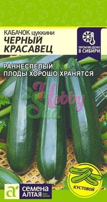 Кабачок Черный Красавец цукини (2 гр) Семена Алтая