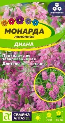 Цветы Монарда Диана лимонная (0,05 г) Семена Алтая