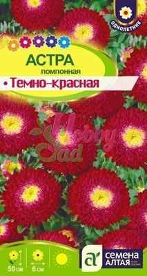 Цветы Астра Помпонная Темно-красная (0,2 гр) Семена Алтая