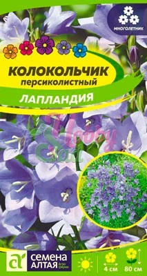 Цветы Колокольчик Лапландия персиколистный (0,05 г) Семена Алтая