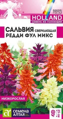 Цветы Сальвия Редди Фулл микс сверкающая (5 шт) Семена Алтая