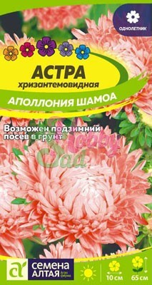 Цветы Астра Аполлония Шамоа хризантемовидная (0,2 гр) Семена Алтая