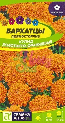 Цветы Бархатцы Купид Золотисто-Оранжевые (0,3 г) Семена Алтая