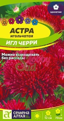 Цветы Астра Черри Игл (0,2 гр) Семена Алтая