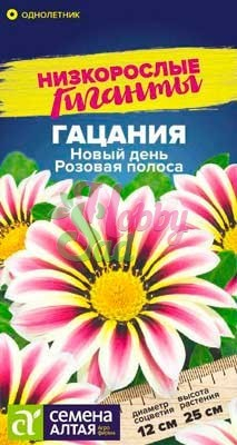 Цветы Гацания (газания) Новый день Розовая полоса (5 шт) Семена Алтая серия Низкорослые Гиганты