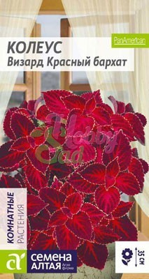 Цветы Колеус Визард Красный Бархат (8 шт) Семена Алтая