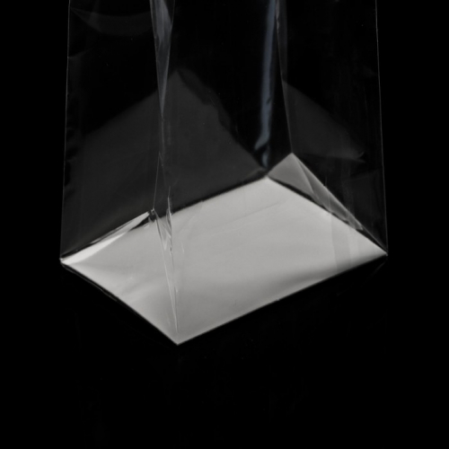Пакет с жестким дном, 14×14×45 «Прозрачный»