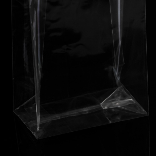 Пакет полипропиленовый фасовочный, прямоугольное дно, прозрачный, 10 х 6 х 28 см