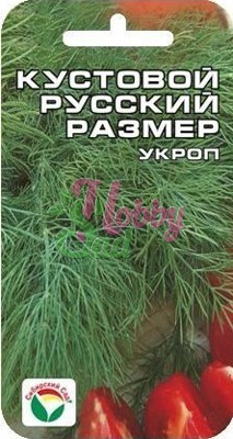 Укроп Кустовой Русский Размер (2 г) Сибирский Сад