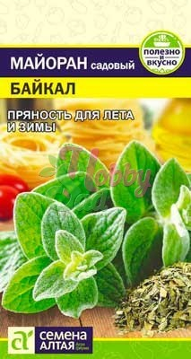 Майоран Байкал (0,2 гр) Семена Алтая