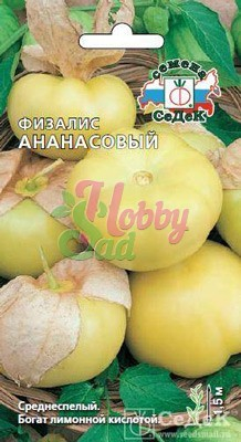 Физалис Ананасовый  (0,1 г) Седек