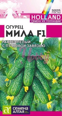 Огурец Мила F1 (5 шт) Семена Алтая Seminis