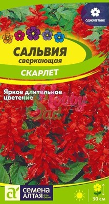 Цветы Сальвия Скарлет сверкающая (0,1 г) Семена Алтая