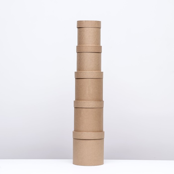 Набор круглых коробок 5 в 1 «Крафт однотонный», 20×20 - 11×11 см
