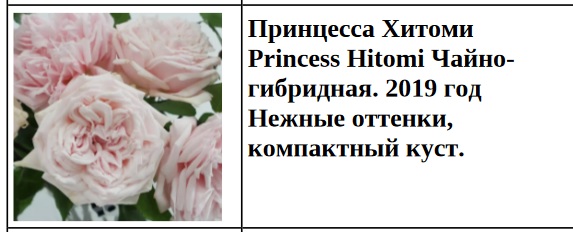 Принцесса Хитоми